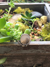 Load image into Gallery viewer, Dendritic Agate with Juniper Twigs sz 6