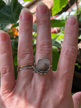 Load image into Gallery viewer, Dendritic Agate with Juniper Twigs sz 6