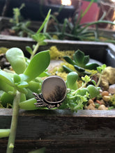 Load image into Gallery viewer, Dendritic Agate with Juniper Twigs sz 6