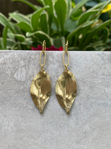 Mimosa earrings 2025