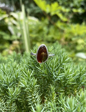Load image into Gallery viewer, Mexican Fire Agate sz 7
