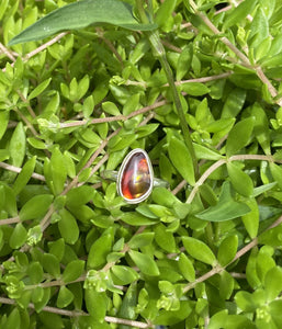 Mexican Fire Agate sz 7