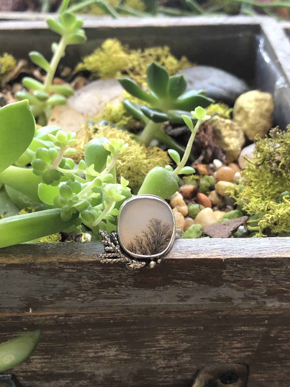 Dendritic Agate with Juniper Twigs sz 6