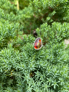 Mexican Fire Agate sz 7