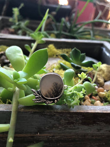 Dendritic Agate with Juniper Twigs sz 6