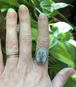 Dendritic Agate double band ring Sz 10