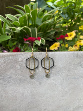 Load image into Gallery viewer, IPA Earrings
