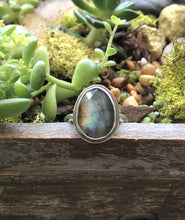 Load image into Gallery viewer, Labradorite Ring sz 8
