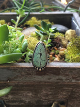 Load image into Gallery viewer, Hubei Turquoise sz 8
